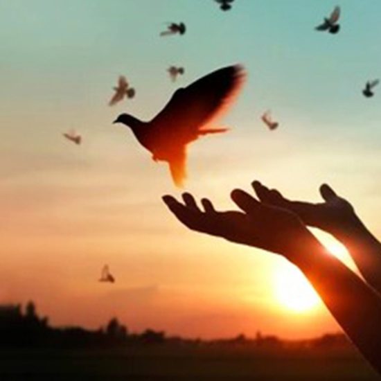 vera cardoso styliste graphiste coach en image fond accompagnement delivrance